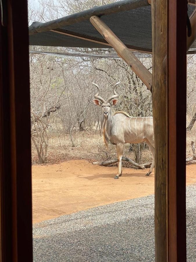 Villa The Cheetah Rest Hoedspruit Exterior foto